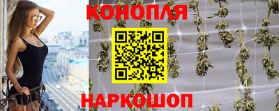 мяу мяу мука Краснознаменск