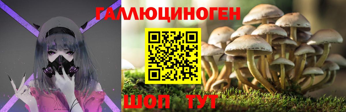 Псилоцибиновые грибы мицелий Дубна